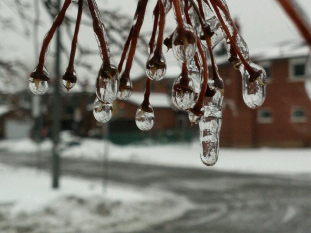 Weather in Newmarket Ont