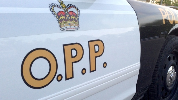 An OPP cruiser is seen in this undated photo. 