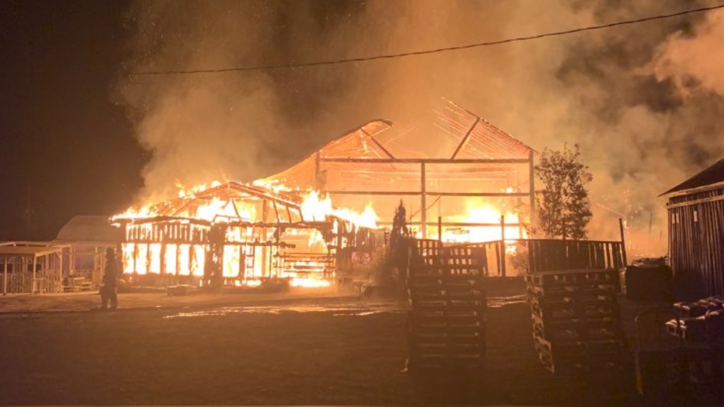A garden centre greenhouse went up in flames in Orangeville, Ont., on Sat., Oct. 23, 2021 (Supplied)