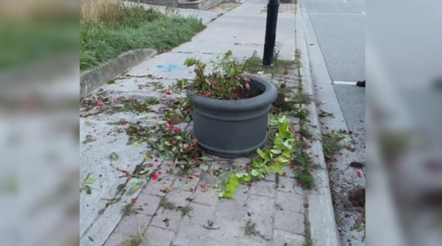 York Regional Police are asking for the public's help in identifying whoever is responsible for multiple damage reports in the heart of Newmarket (Courtesy: York Regional Police) 