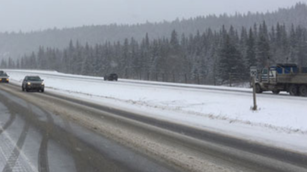 Barrie Woman Killed In Crash On Trans-Canada Highway In New Brunswick ...