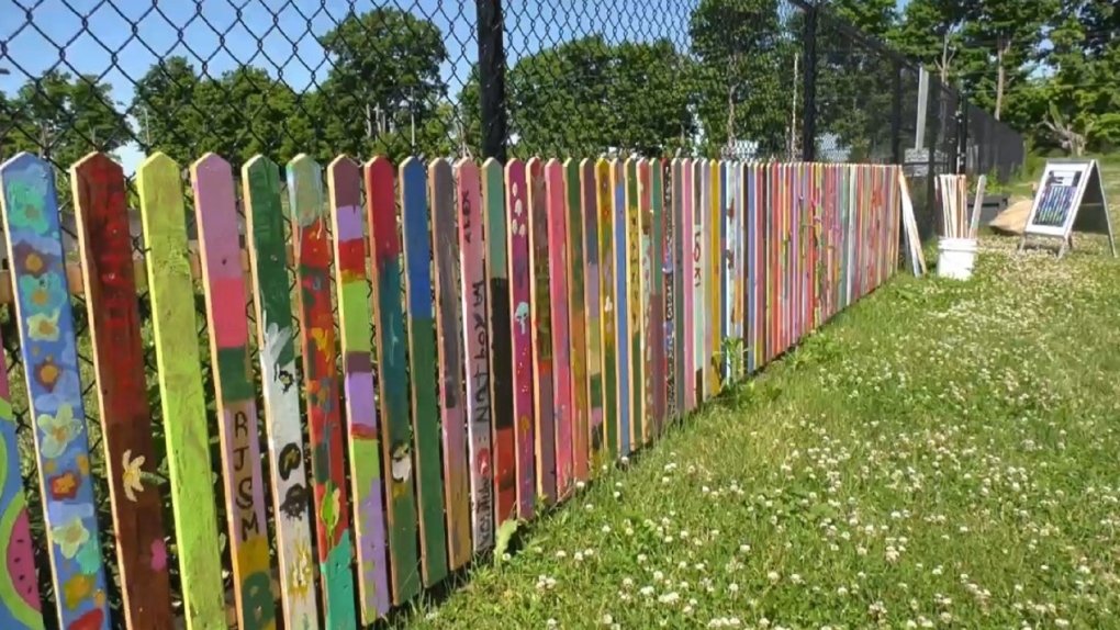 Elementary and high schools students in Stayner painted 100 pickets for a fence surrounding its local community garden. (Chris Garry/CTV News)
