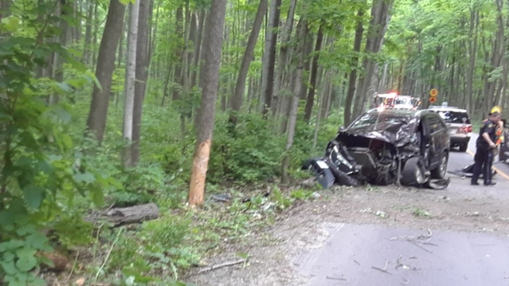 A vehicle is severely damaged after police say the driver crashed into several trees in the Awenda Provincial Park in Tiny Township on Sun., June 26, 2022 (Supplied)