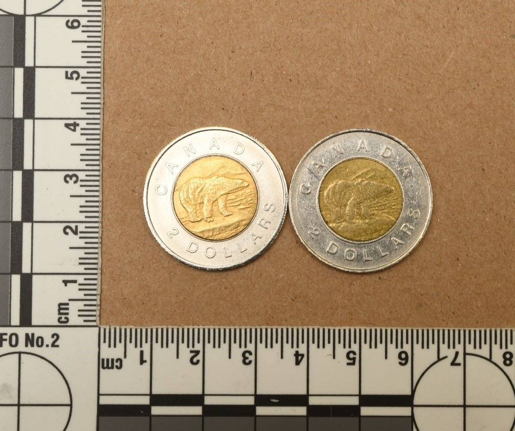 Owen Sound Police put out an advisory of a rash of fake toonies in the area, such as the one on the left. (SUBMITTED BY OSP)