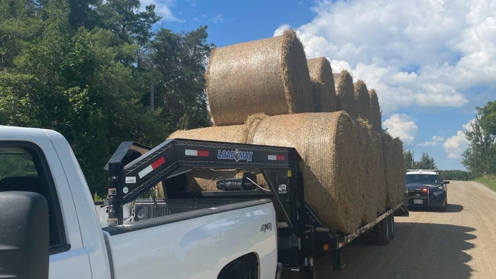 An Ontario Provinical Police officer stops a pickup truck for towing an unsafe load of straw bales in Amaranth Township, Ont., on Tues., Aug. 16, 2022 (OPP)