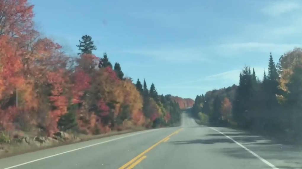 https://barrie.ctvnews.ca/content/dam/ctvnews/en/images/2023/10/3/fall-colours-hwy-60-1-6587125-1696359948252.jpg