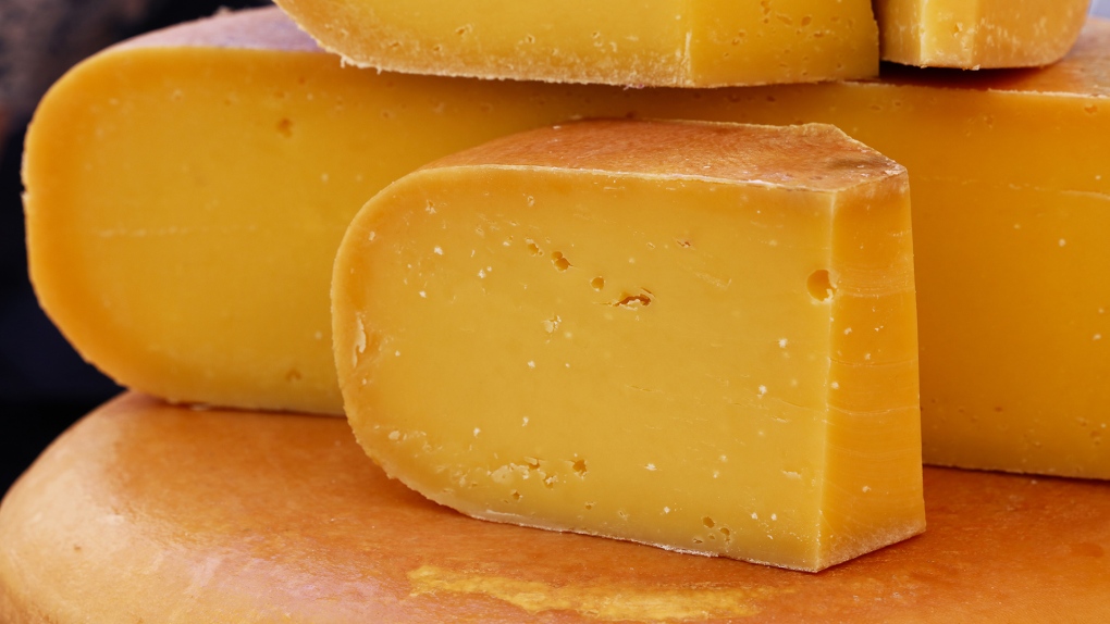  Cut slices of a wheel of hard matured yellow gouda Dutch cheese are shown in this stock image. 