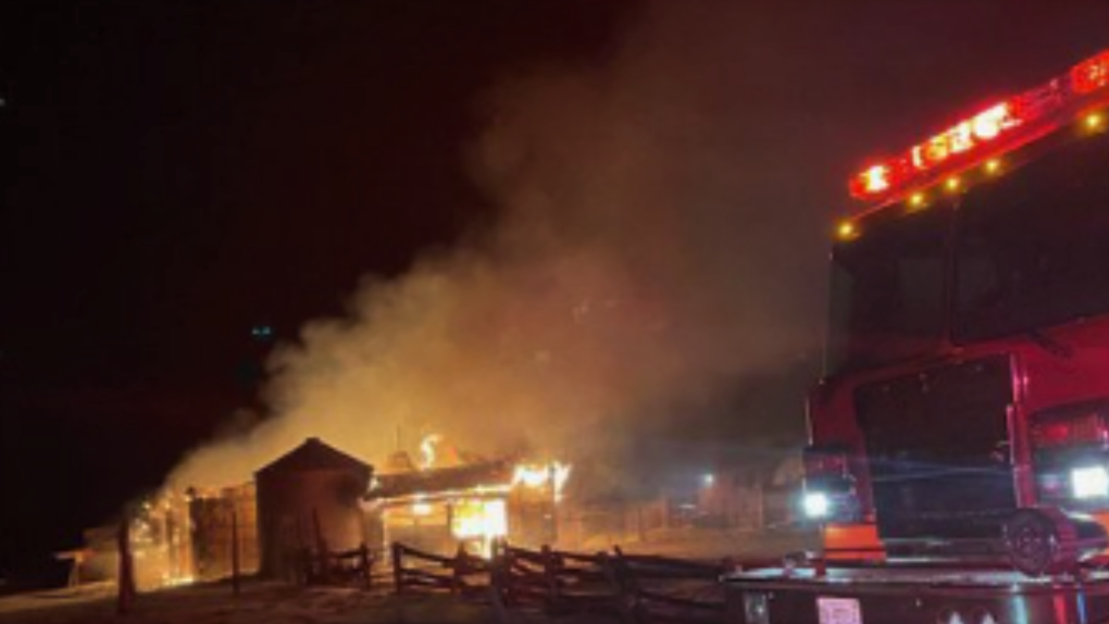 An early morning barn fire in Amaranth, Ont. Feb. 2, 2023. (Source: DUFFERIN OPP)