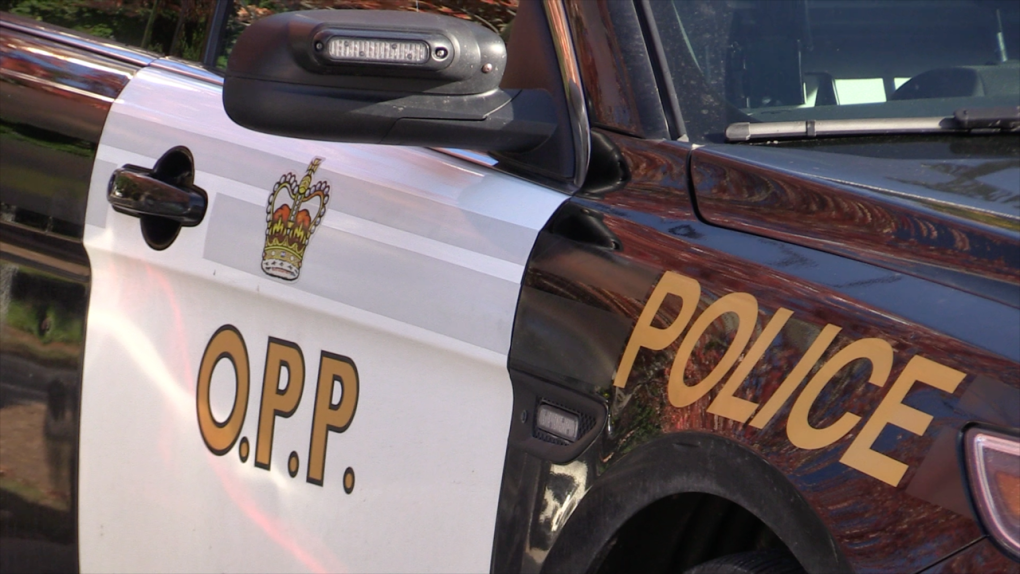 An OPP cruiser in this file image. 
