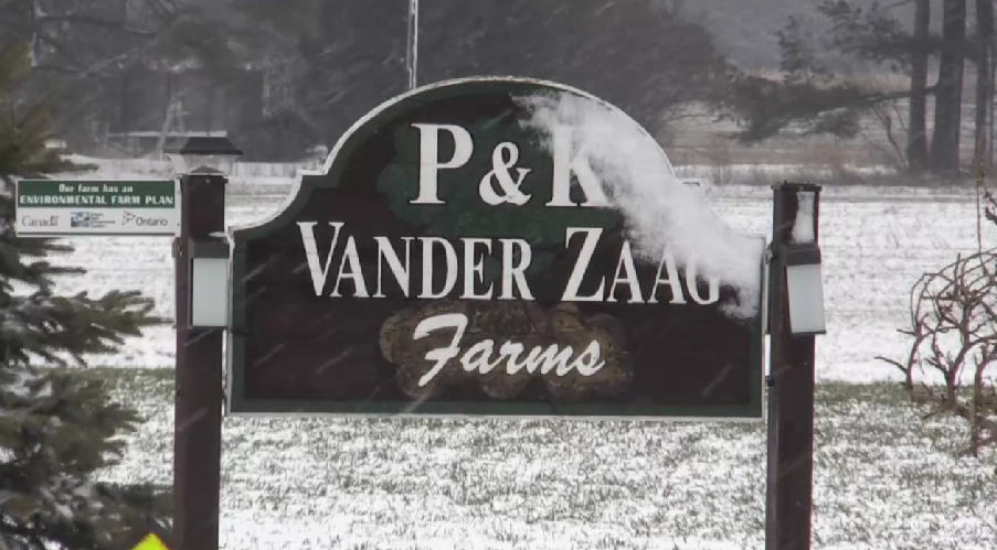 The sign of P&K Vander Zaag Farms in Alliston on Fri. March 31, 2023 (Steve Mansbridge/CTV News Barrie) 