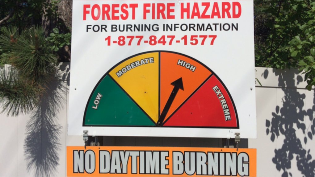 Muskoka fire officials set the fire danger rating to HIGH on Tues., July 9, 2019 (CTV News/Rob Cooper)