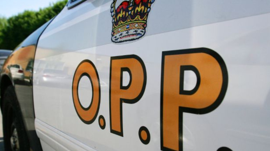 An OPP cruiser is pictured in this undated photo. (Source: OPP Central Region)