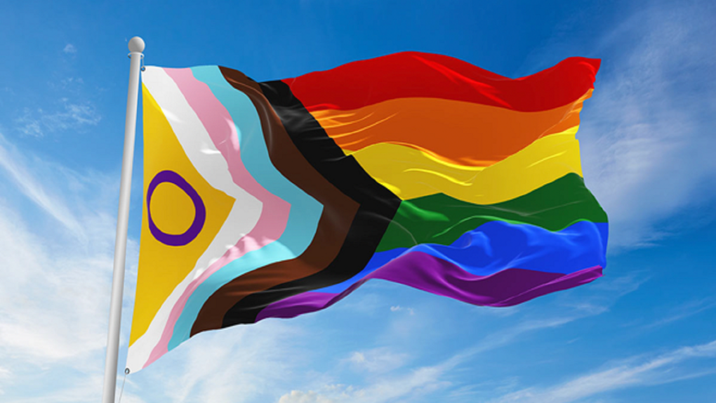 Georgian College celebrating Pride month with ceremonies at all of its campuses. (Credit/Georgian College)