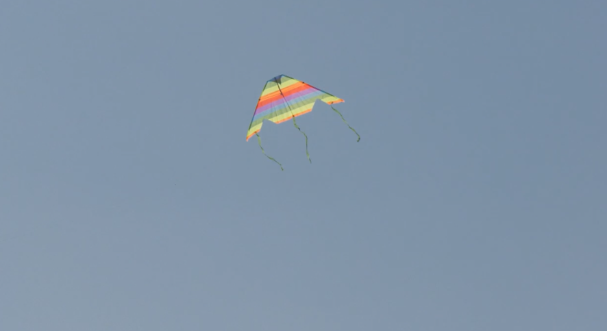 A kite flies over the skies of New Tecumseth ahead of the 2nd annual South Asian KiteFest (Chris Garry/CTV News Barrie) 