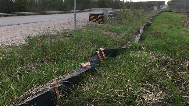 Turtle crossing fence